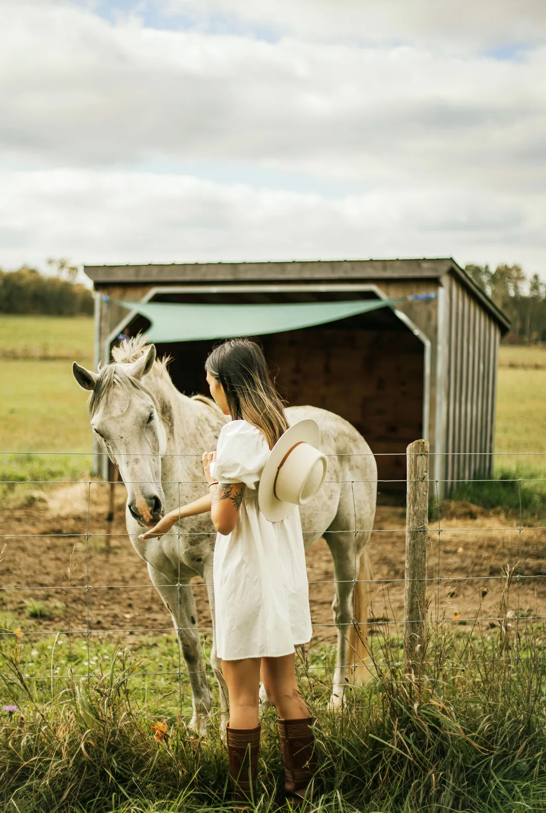 agence-immo-equestre-gers